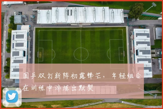 国乒双打新阵初露锋芒，年轻组合在训练中淬炼出默契