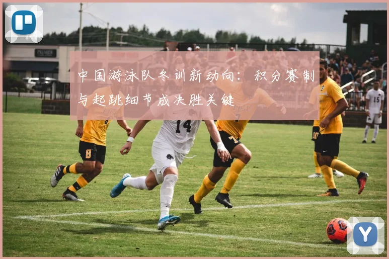 中国游泳队冬训新动向：积分赛制与起跳细节成决胜关键