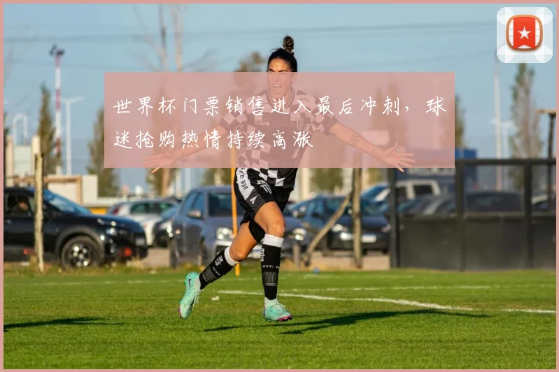 世界杯门票销售进入最后冲刺，球迷抢购热情持续高涨
