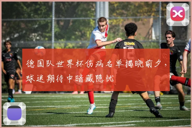 德国队世界杯伤病名单揭晓前夕，球迷期待中暗藏隐忧